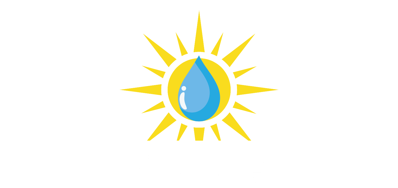 PNS-973